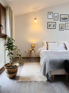 une chambre avec un lit et une plante en pot dans l'établissement Superbe maison plein centre, à Merville