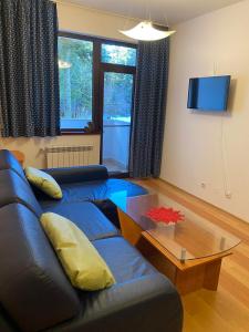 a living room with a blue couch and a table at HQ Apartment Flora Violet in Borovets