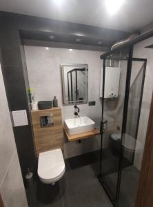 a bathroom with a sink and a toilet and a mirror at Apartament Hetmański in Wałcz