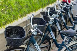a row of bikes parked next to a wall at Hotel Continental in Tortoreto Lido
