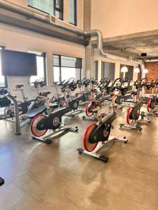 a gym with a bunch of treadms and machines at Mission City Bay in San Francisco