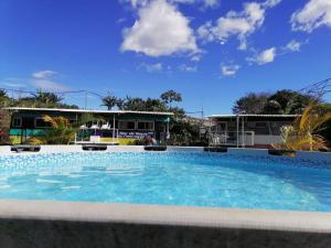 a large blue swimming pool with a building in the background at Combi Bus Dreamcatcher in Sarchí