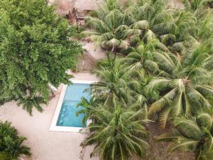 Bazén v ubytování Royal Palm Bacalar Cabañas & Lagoon Club nebo v jeho okolí