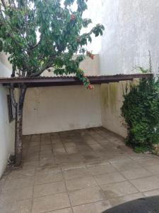 a wooden bench sitting next to a wall with a tree at Departamento Parque Luro para 5 personas in Mar del Plata