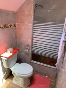un baño con inodoro y ducha en Familiar 1 Rocas del Mar, en Pichilemu 4 fotos más