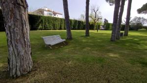 eine Parkbank im Gras neben Bäumen in der Unterkunft Apartamento Ca la Raquel Calella Palafrugell in Calella de Palafrugell