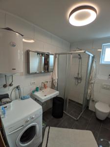 uma casa de banho com um lavatório e uma máquina de lavar roupa em Ika LuX apartmani 4* em Sjenica