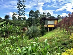 una casa en la cima de una colina con plantas en Cántaros Glamping, en Santa Rosa de Cabal