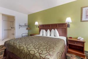 Postel nebo postele na pokoji v ubytování Best Western Caprock Inn