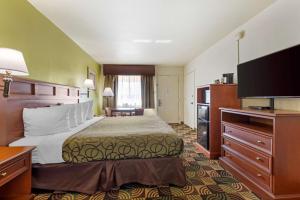 Postel nebo postele na pokoji v ubytování Best Western Caprock Inn