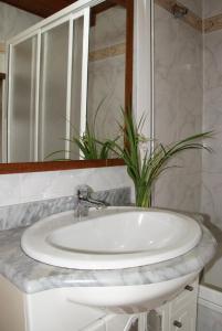 a bathroom sink with a mirror and a plant at Apartamentos Casa Margot in Sevares