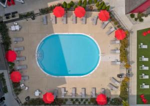 an overhead view of a swimming pool with red umbrellas at Scott’s Addition in Richmond