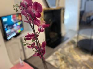 une fleur violette dans un vase sur une table dans l'établissement Entire 3 Bedroom House- FREE PARKING, à Liverpool