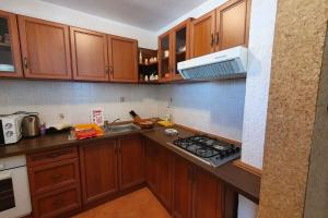 Kuchyň nebo kuchyňský kout v ubytování Apartment in Gradinje - Istrien 43268