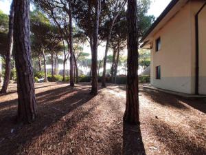 Сад в Holiday home in Eraclea Mare 43496