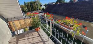 Zahrada ubytování Apartment in Balatonszabadi 43404