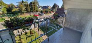 Zahrada ubytování Apartment in Balatonszabadi 43404