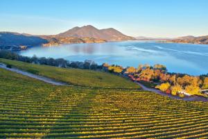 Gallery image of Vineyard Setting With 180 Panoramic Lake Views in Lower Lake