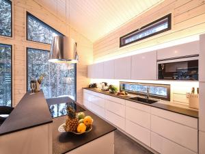 SappeeにあるVilla Borealisのギャラリーの写真