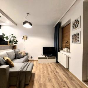 ein Wohnzimmer mit einem Sofa und einem TV in der Unterkunft Apartament Siedlce in Siedlce