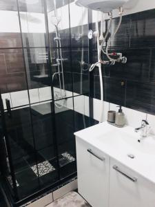 ein Bad mit einer Dusche, einem Waschbecken und einem WC in der Unterkunft Apartment Studenac in Pale