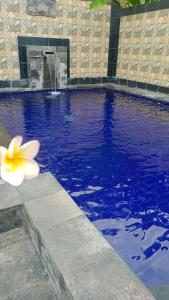 Het zwembad bij of vlak bij Putu Guest House Pemuteran