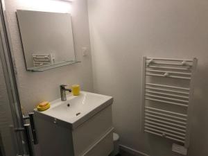 een badkamer met een wastafel, een spiegel en een toilet bij Le Johannes-Colmar centre historique in Colmar