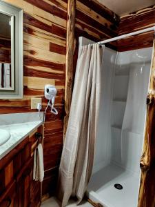 y baño con cortina de ducha y lavamanos. en Log Cabin Inn, en Eureka Springs