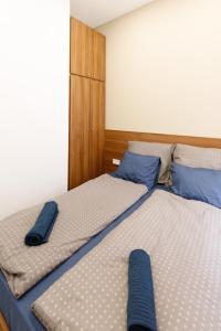 ブダペストにあるCentral City Apartmentのベッドルーム1室(青い枕のベッド2台付)