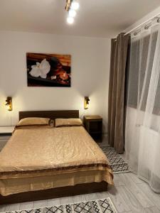 a bedroom with a bed and a painting on the wall at Apartament English Home 2 camere Brasov in Braşov +7 photos