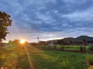 un campo con la puesta de sol a lo lejos en Corbett Rejoice Home Stay, en Jhirna