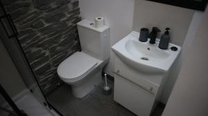埃安的住宿－Estudio en Eyne Estación，浴室配有白色卫生间和盥洗盆。