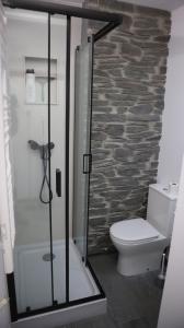 uma casa de banho com um WC e uma cabina de duche em vidro. em Estudio en Eyne Estación em Eyne
