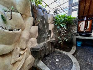塞尤克别墅酒店外面的花园