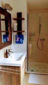 ein Badezimmer mit Waschbecken und Dusche in der Unterkunft Quartier No.63 in Ražanac + 19 Fotos