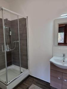 ein Bad mit einer Dusche und einem Waschbecken in der Unterkunft Apartman Poirot in Érd