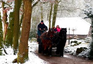 a man and a woman riding a horse drawn carriage at Hoeve Springendal Erf&Bron in Hezingen