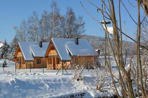 a log cabin in the snow with snow at Domki nad Ripką in Wysowa-Zdrój