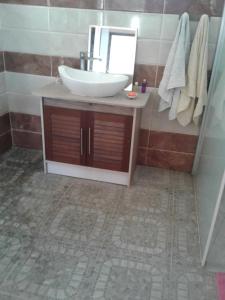 een badkamer met een wastafel en een spiegel bij EJC in Flic-en-Flac