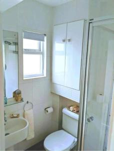 een badkamer met een toilet, een wastafel en een douche bij Beautiful Ground floor apartment with Parking, Exeter in Exeter