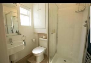 een badkamer met een toilet, een douche en een wastafel bij Beautiful Ground floor apartment with Parking, Exeter in Exeter