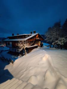 a house covered in snow with a tree in front of it at La Maisonette 1878 in Dosoledo