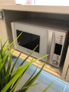 a microwave oven with a plant in front of it at Le Megève in Sainte-Croix-en-Plaine