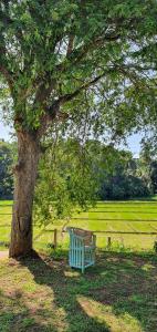 Κήπος έξω από το Villa Tamarind Shade - Talalla