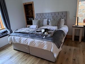 a dog sitting on a bed in a bedroom at The Apartment in Aberlour in Aberlour