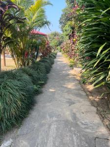 Taman di luar Paradise Mount Resort