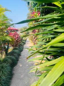 Taman di luar Paradise Mount Resort