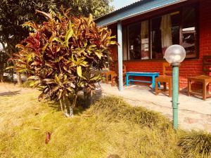Taman di luar Paradise Mount Resort