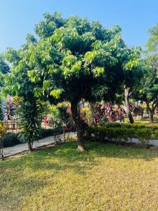 Taman di luar Paradise Mount Resort