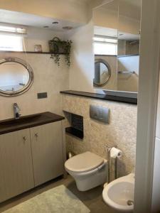 een badkamer met een wit toilet en een wastafel bij The Little House by the Rottemeren in Zevenhuizen